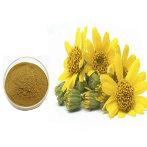 Arnica Montana